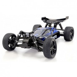 Tanto Brushless Buggy 1:10 4WD 2,4 GHz RTR - 31300
